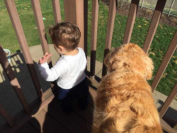 Joseph and Einstein hanging out on the deck