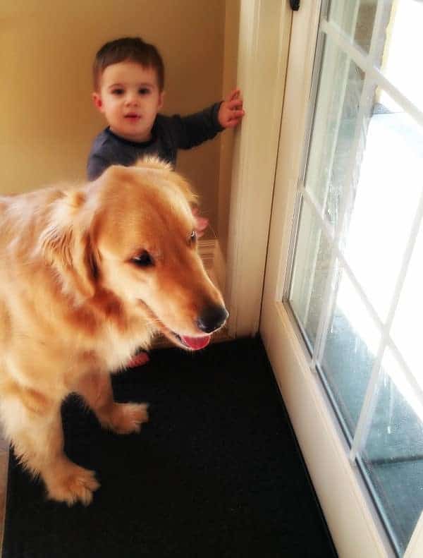 Joseph trying to let Duke out