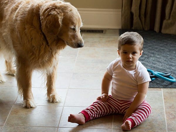 Einstein and Joseph - Serious faces!
