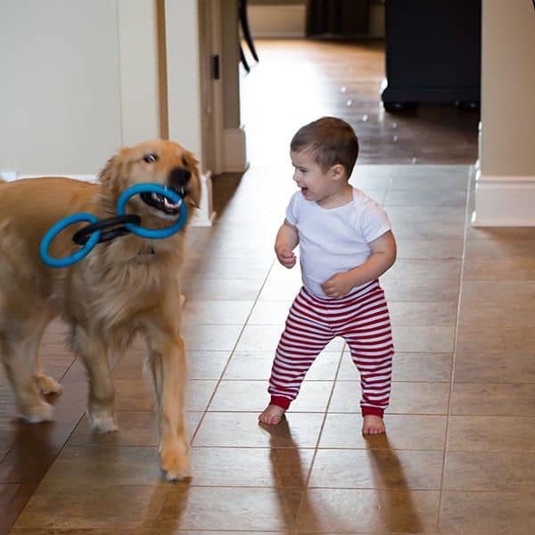 Joseph and Duke playing before bedtime
