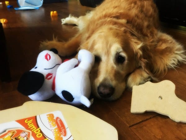 Einstein surrounded by toddler toys