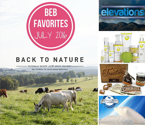 Brown Eyed Baker Favorites: July 2016