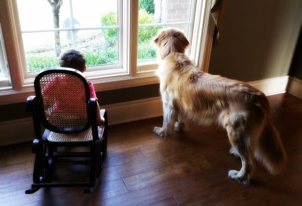 Joseph and Duke keeping an eye on the front yard :)