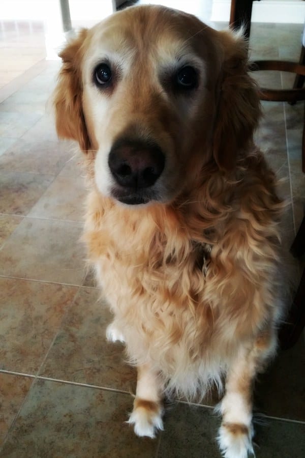 Einstein looking mopey