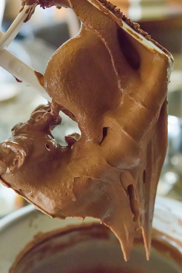 The famous "milkiest chocolate ice cream" from Jeni's Splendid Ice Creams - it's egg-free, rich, and has the most amazing chocolate flavor!