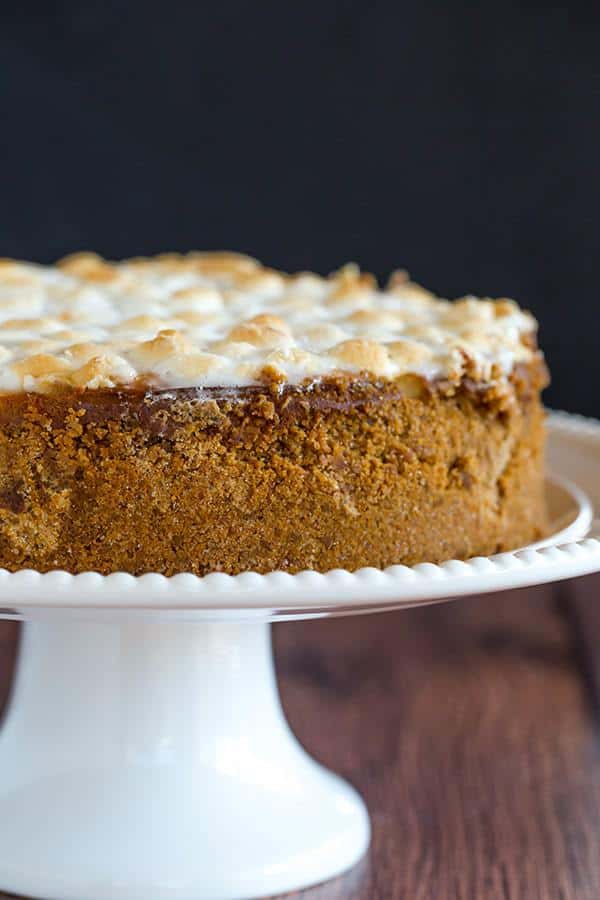 S'mores Cheesecake - The ultimate summer dessert! Graham cracker crust, chocolate fudge, and marshmallow cheesecake, all topped with toasted marshmallows.