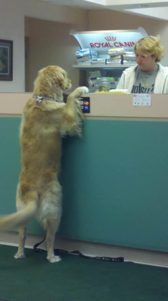 2011-01-26_08-43-01_130