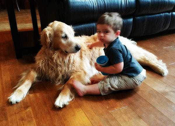 Einstein and Joseph - July 2016