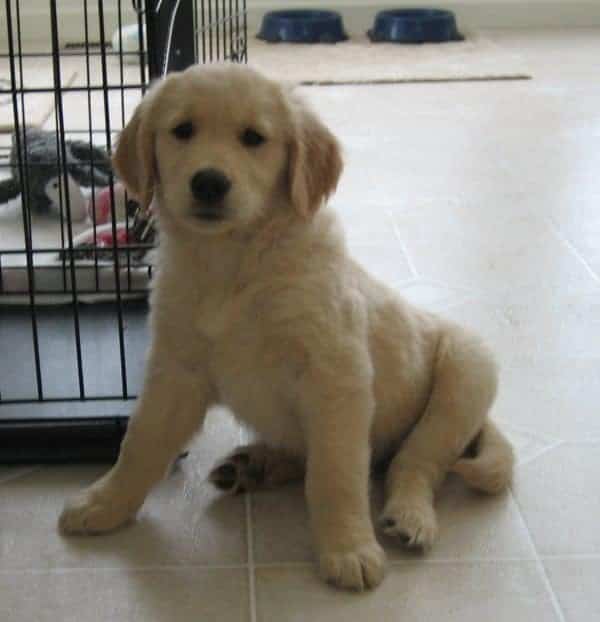 einstein-03-17-07-1-2