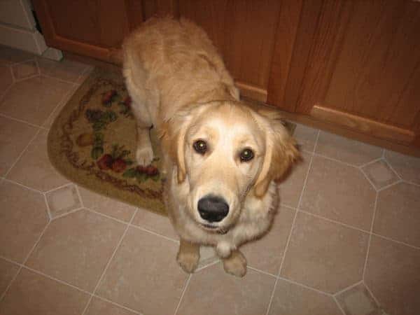 einstein-06-05-07-10