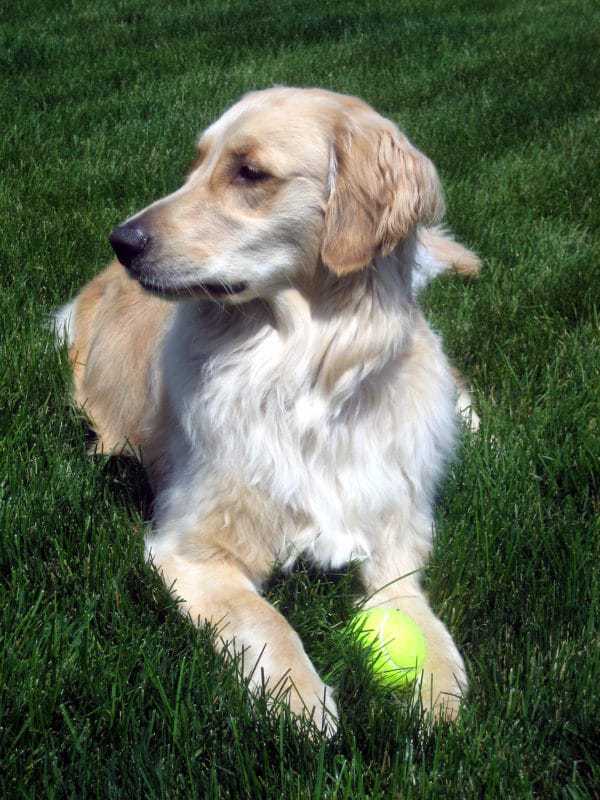 einstein-2008-07-06-1-2