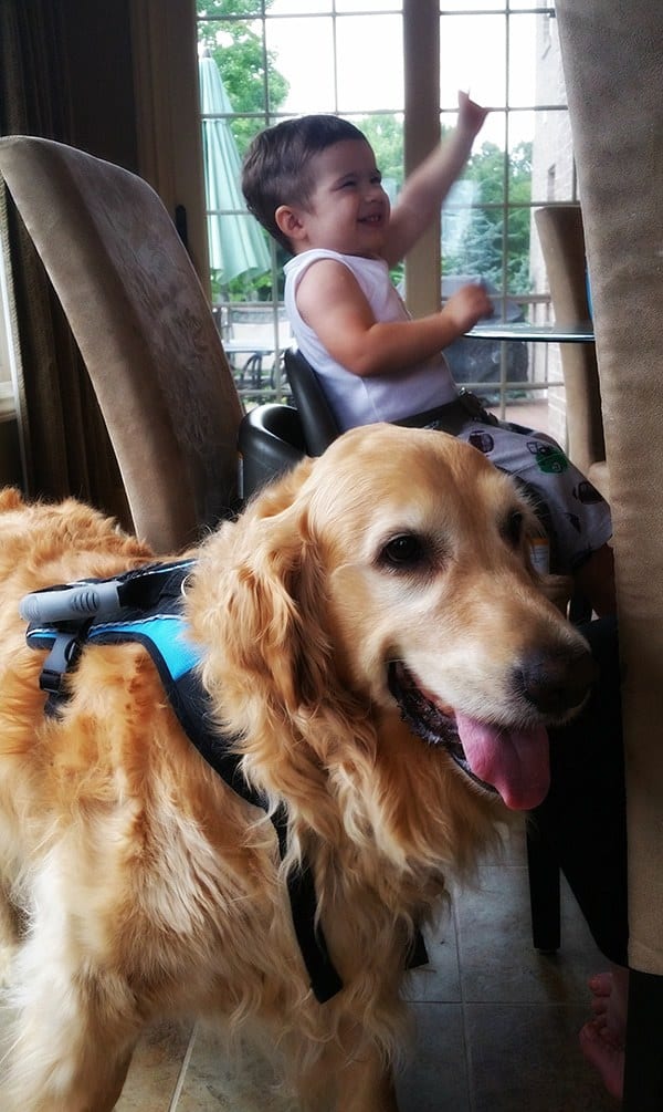 Einstein helping Joseph at dinnertime