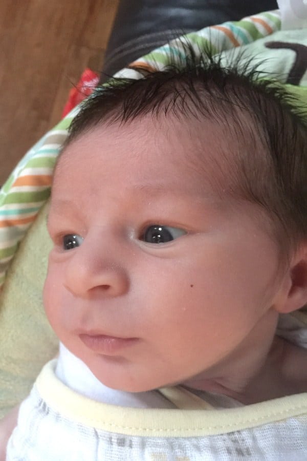 Dominic - 3 weeks old