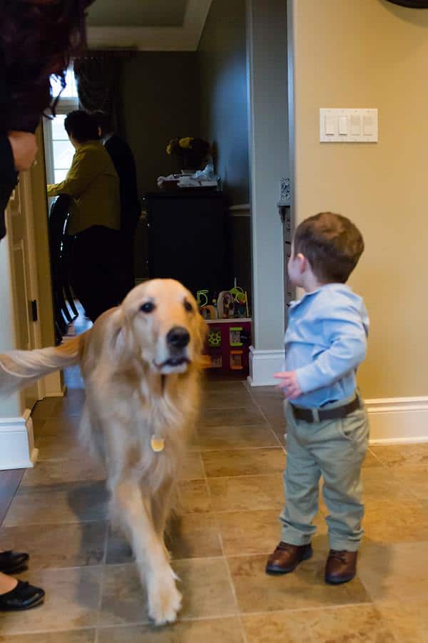 Thanksgiving Weekend 2016 | browneyedbaker.com