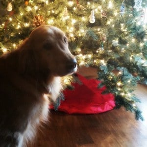 20161209_155801_1481854023558-300