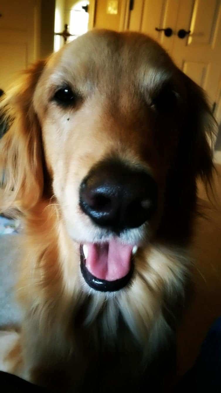 20161221_080700_1482462220123-edit-800