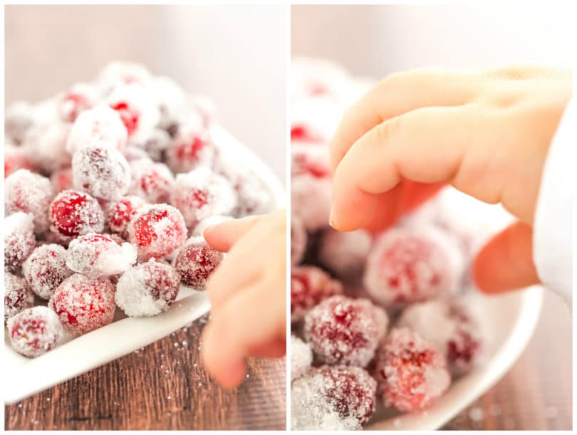 An easy recipe for sugared cranberries - a beautiful, sparkly garnish for your holiday desserts and cocktails! | browneyedbaker.com