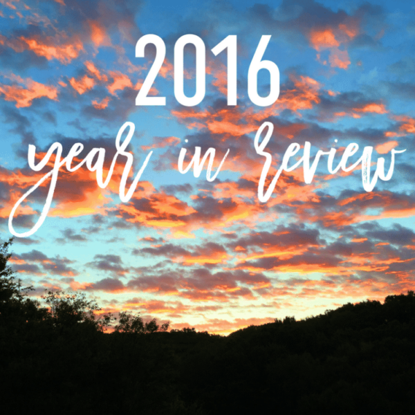 2016-year-in-review