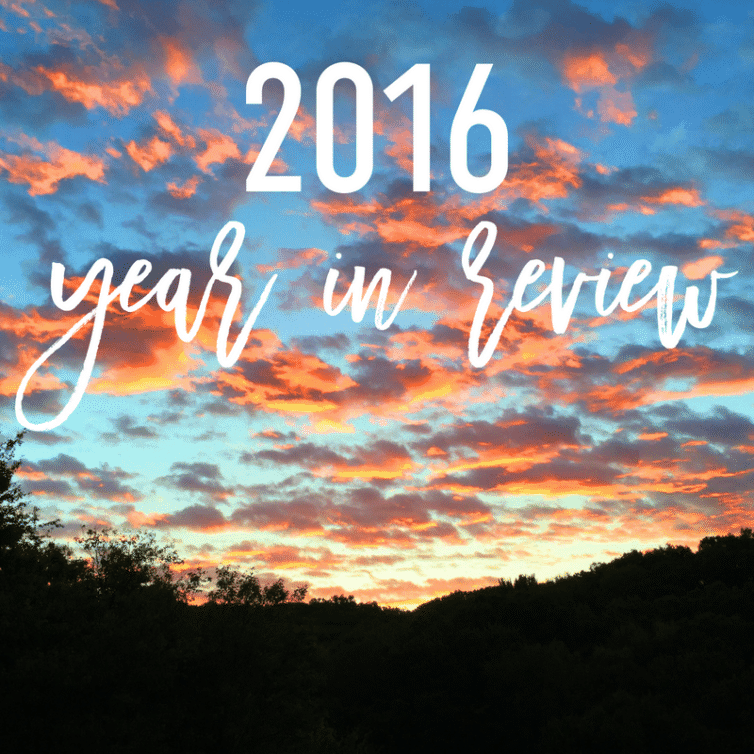 2016-year-in-review