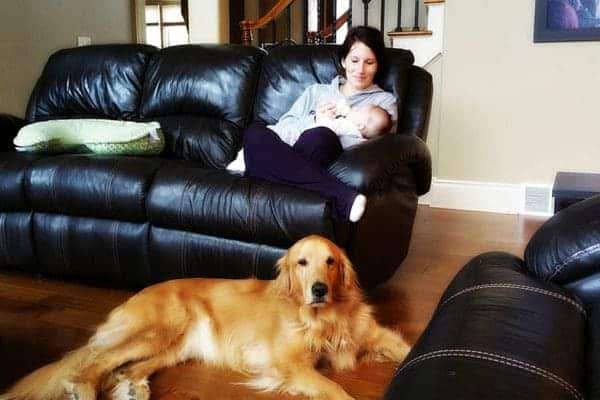 20170114_103454_1484878027862-edit-800