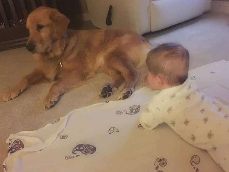 Dominic and Duke hanging out