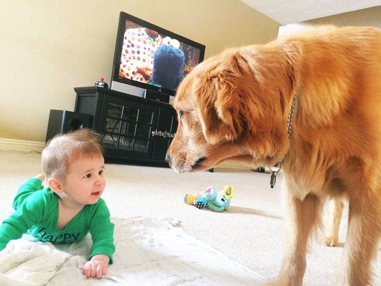 St. Patrick's Day 2017