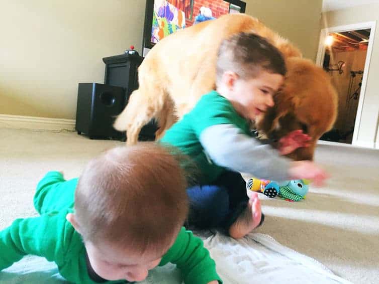 St. Patrick's Day 2017