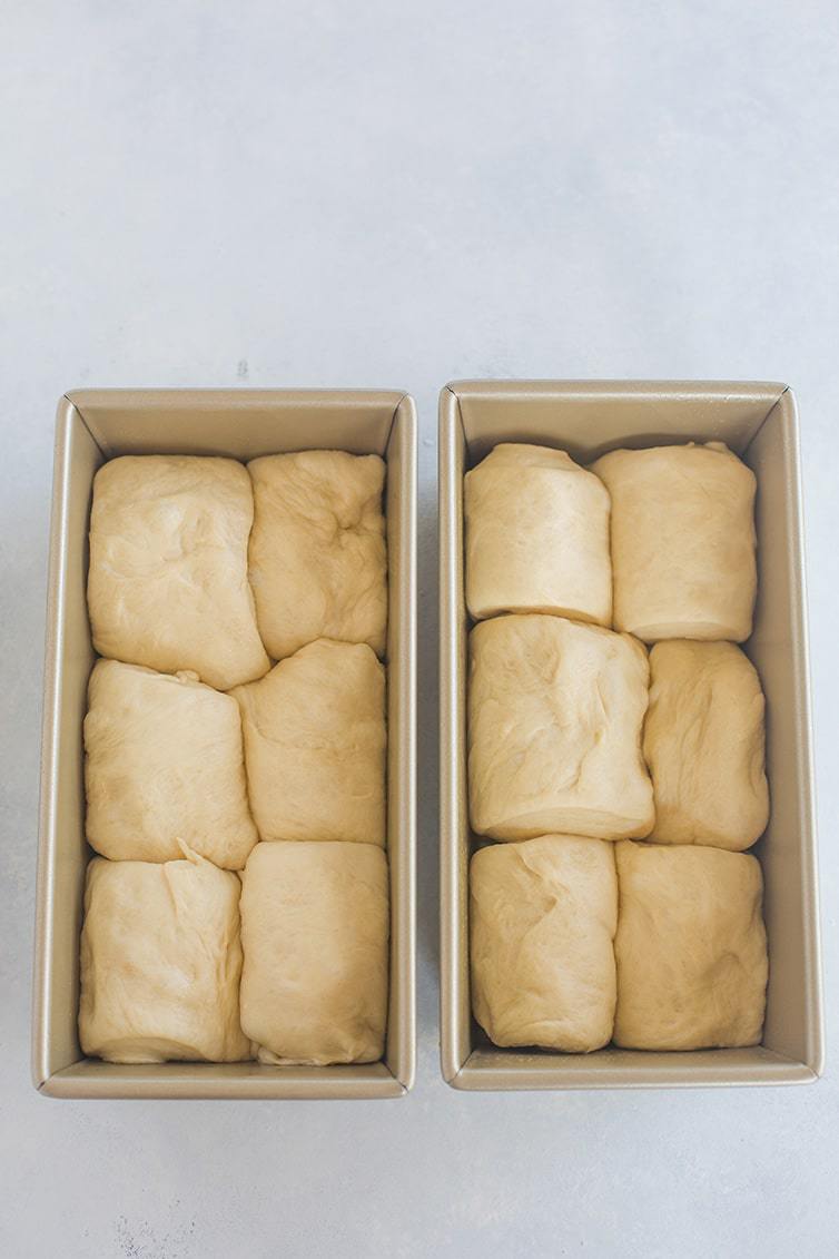 Milk bread dough tucked into two loaf pans.