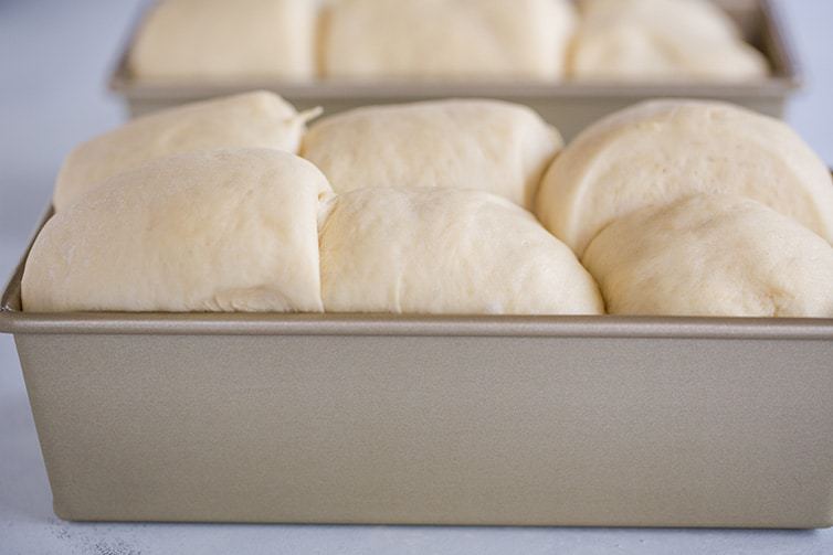 Milk bread dough after its second rise.