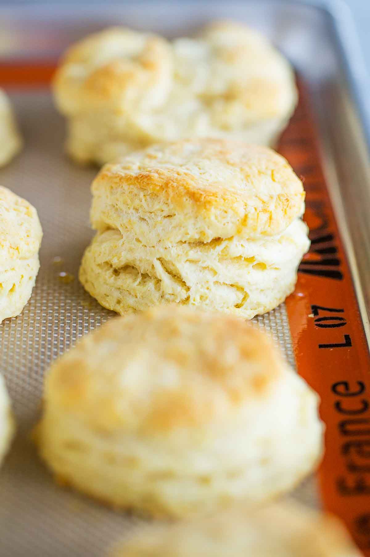 Buttermilk biscuits freshly baked from the oven on a baking sheet.