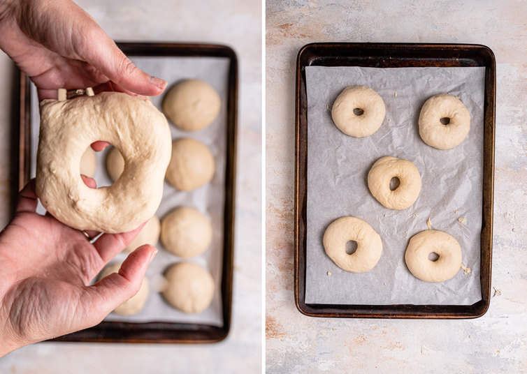 Showing bagels after being shaped.