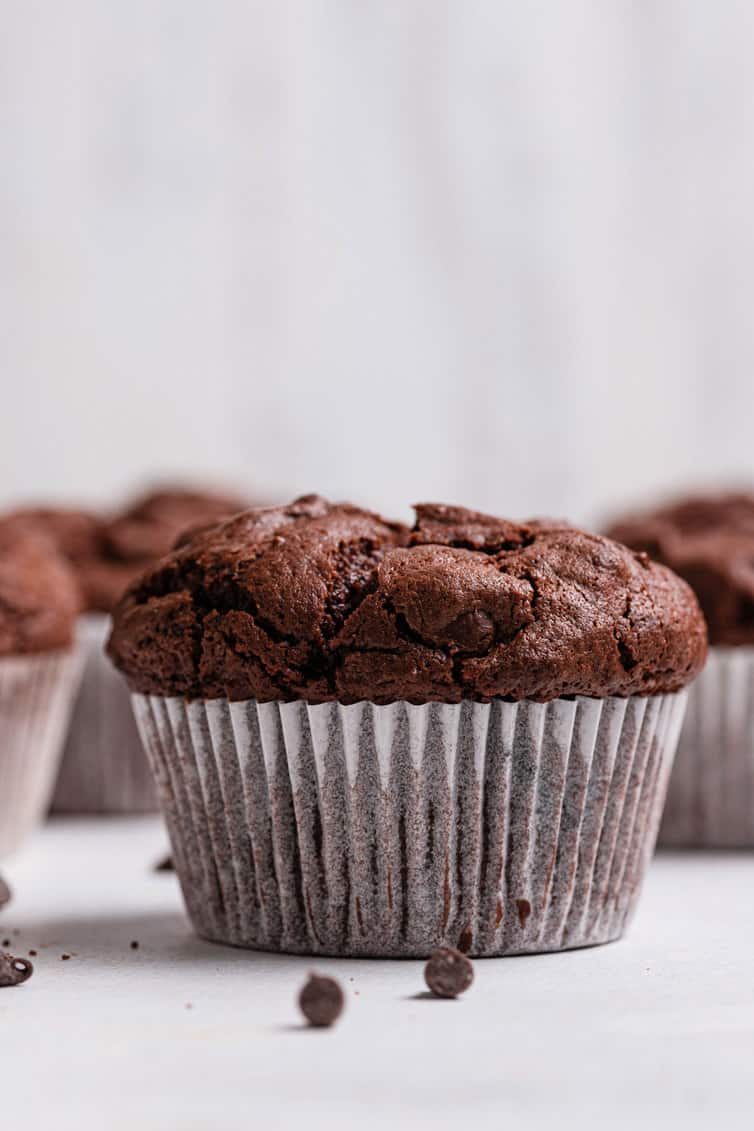 A single chocolate muffin shot straight on.