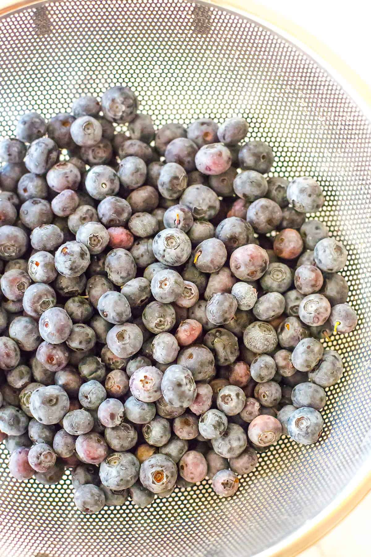 Blueberries in a colander.