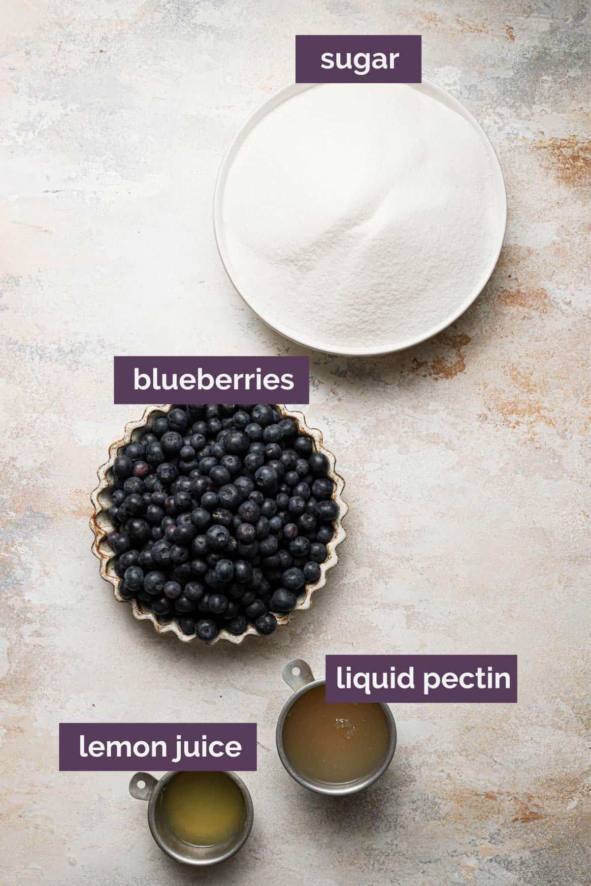Ingredients for blueberry jam labeled with a purple label telling what each ingredient is.