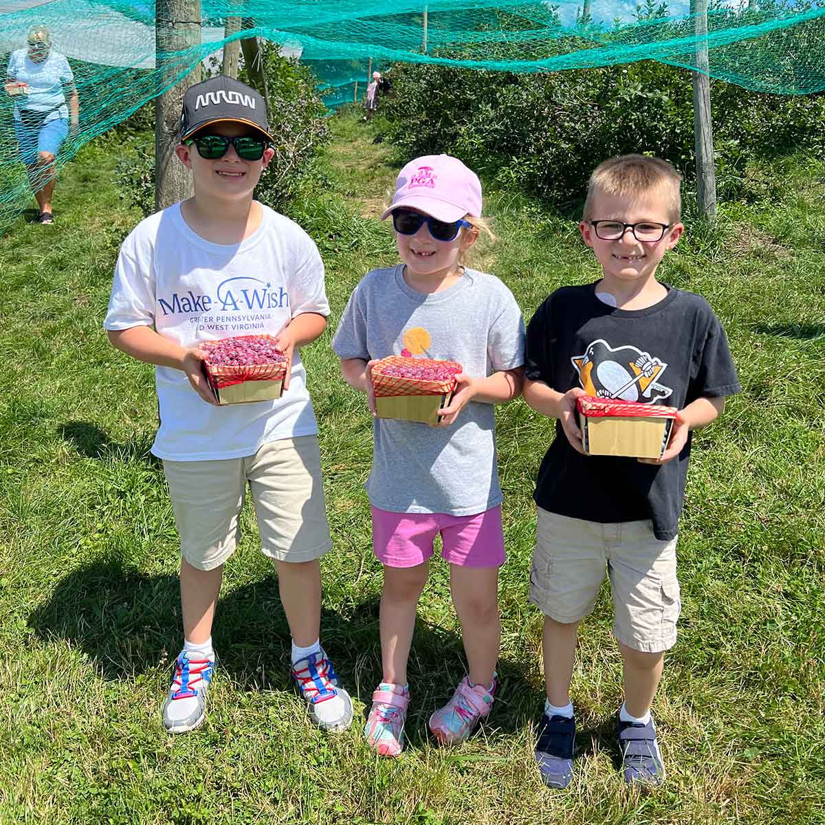 Three kids holding quarts of blueberries in front of a blueberry patch.