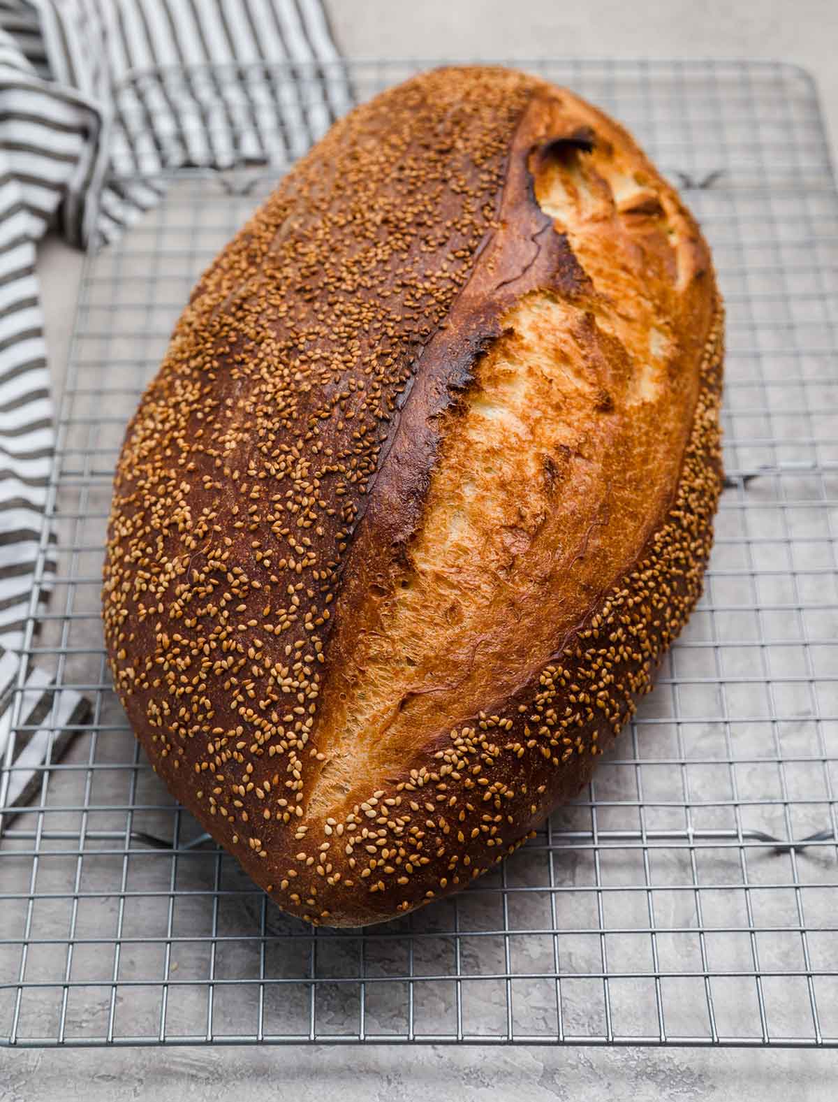 Loaf of baked Italian bread on a wire rack on a counter.