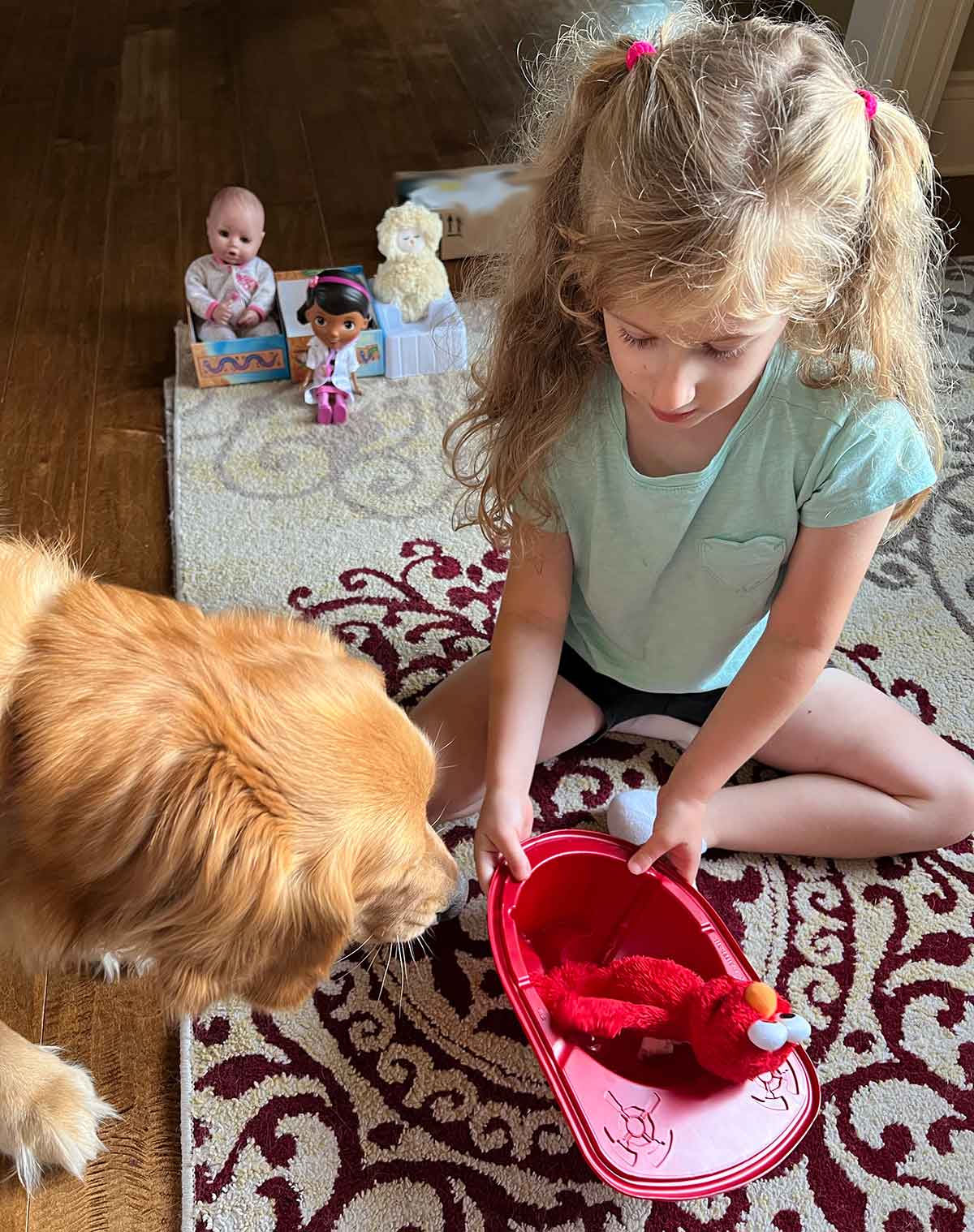 Girl sitting on a carpet playing with toys and a dog next to her.