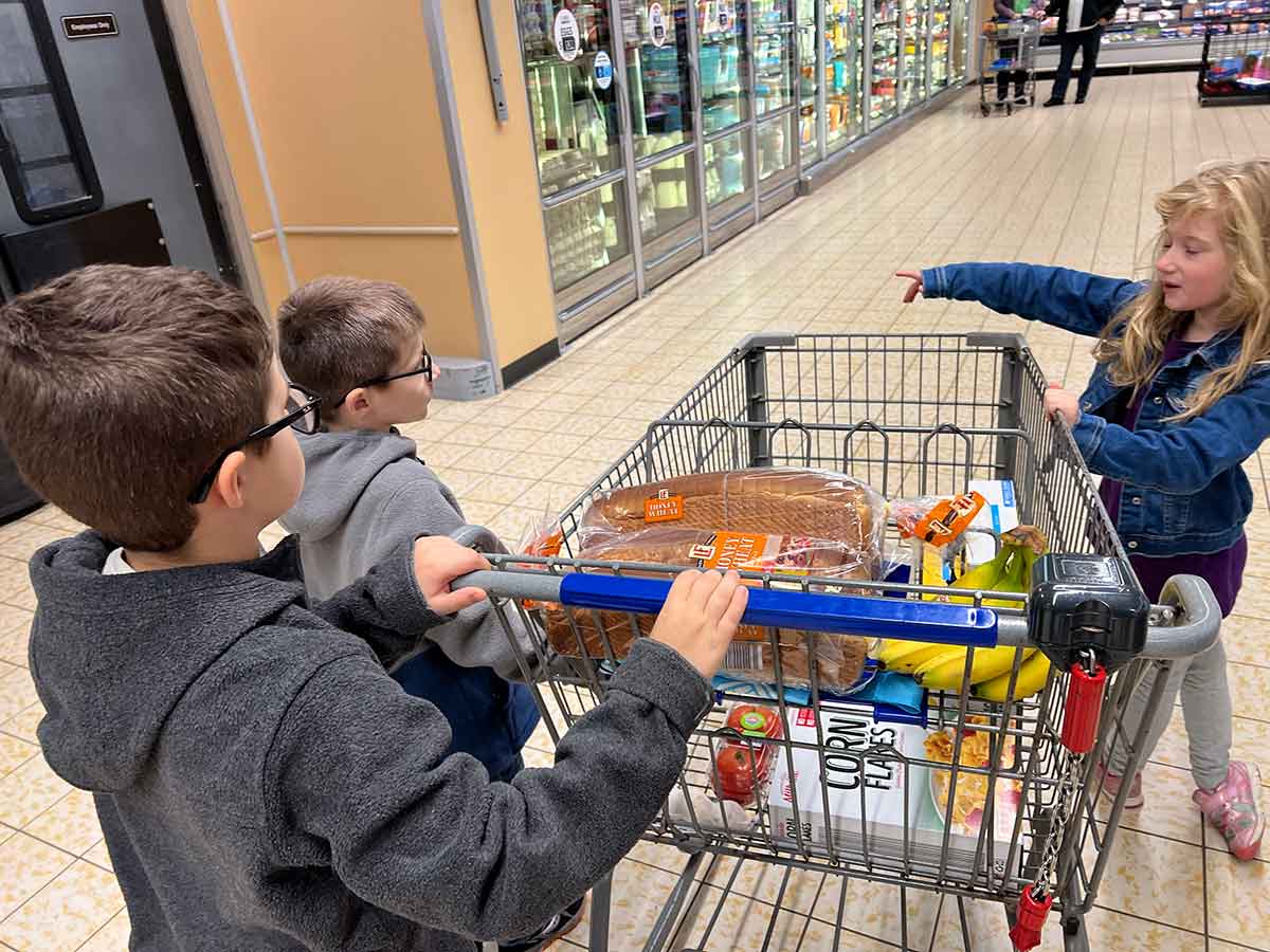 Two boys and a girl around a shopping cart in a grocery store.
