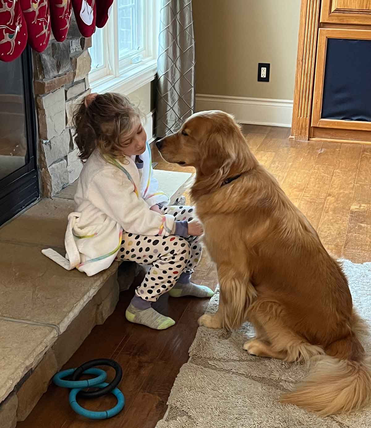 Little girl sitting on the hearth of a fireplace in pajamas and a robe, with a Golden Retriever dog sitting and facing her.