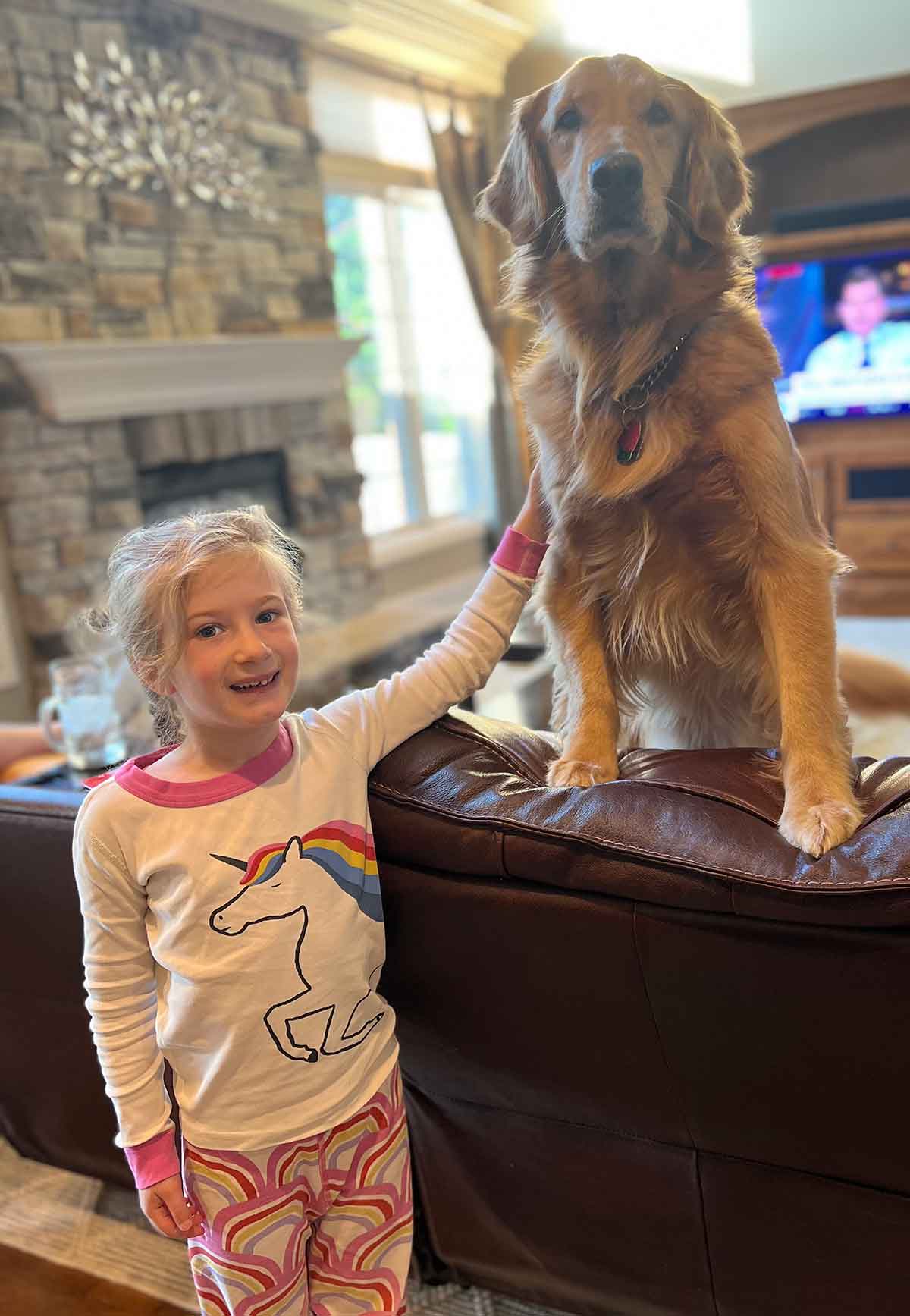 Little girl petting a dog standing up on the back of a sofa.