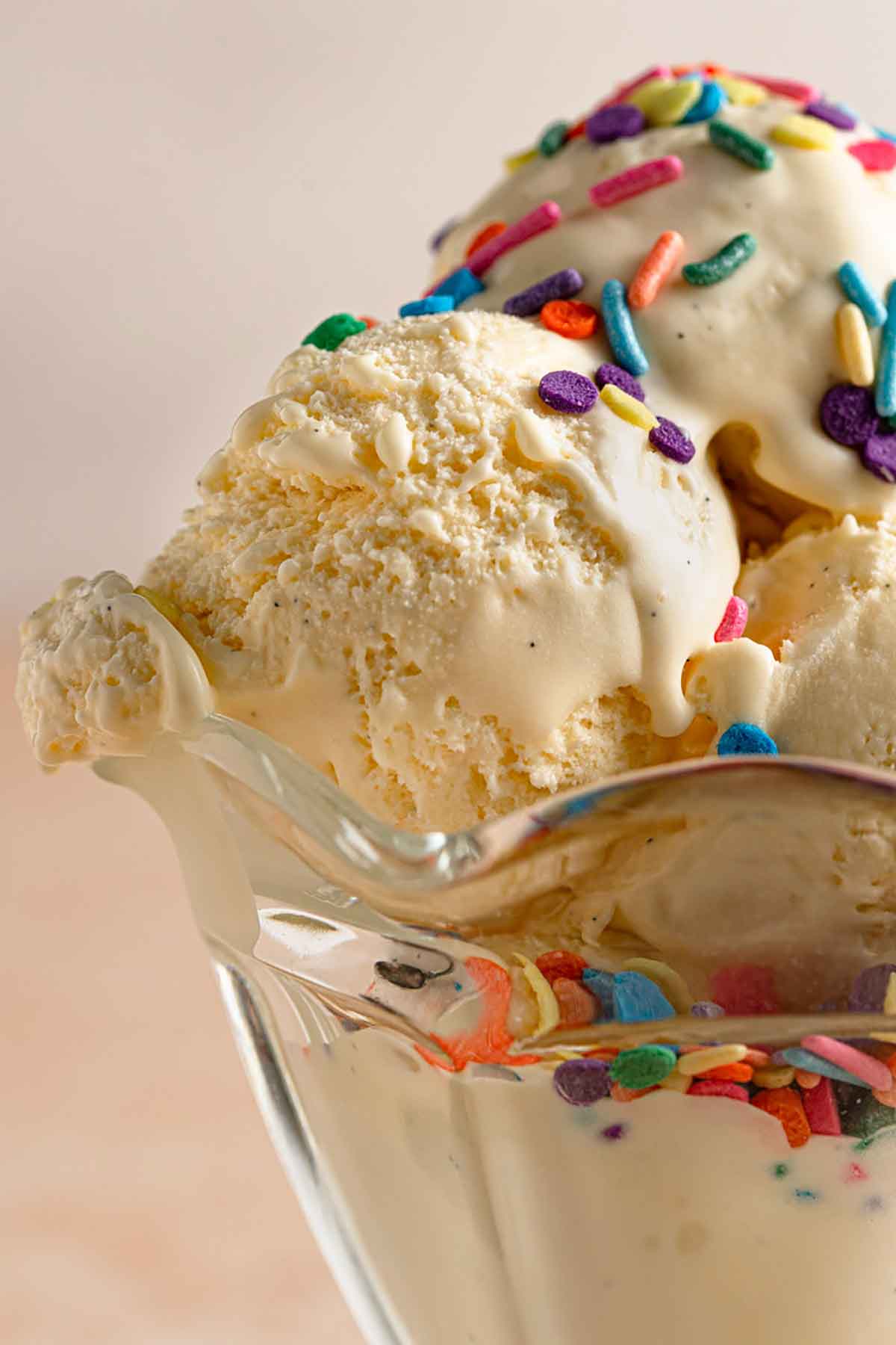 Scoops of vanilla ice cream topped with sprinkles in a glass parfait dish.