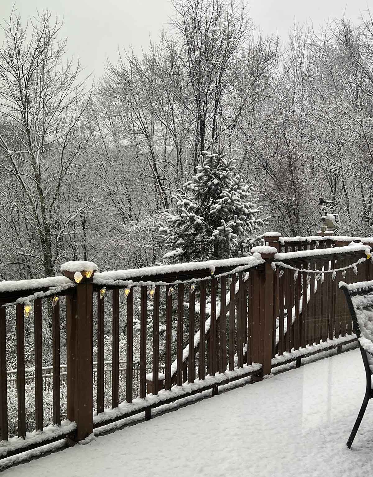 Deck with Christmas lights on the railing, trees and woods in the background, all covered in snow.