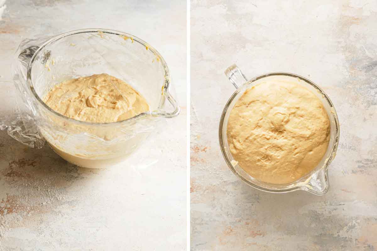 Before and after photos of paczki dough doubling in size after rise.