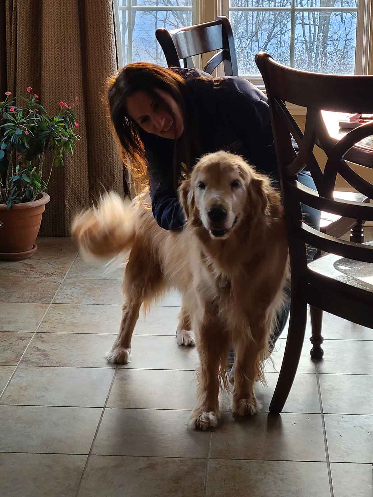 Woman hugging an older Golden Retriever dog.