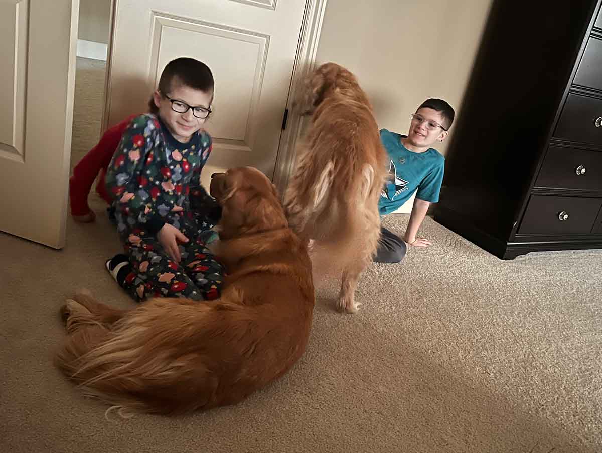 Two boys sitting on the floor with two Golden Retrievers.