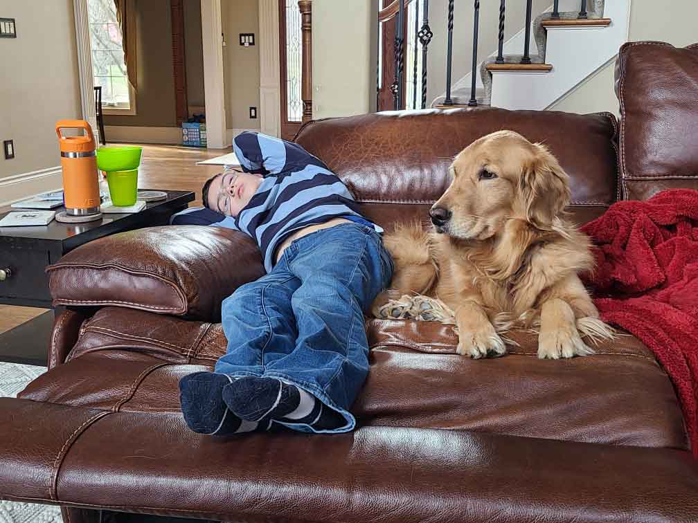 Boy sleeping on a couch with a Golden Retriever laying next to him.