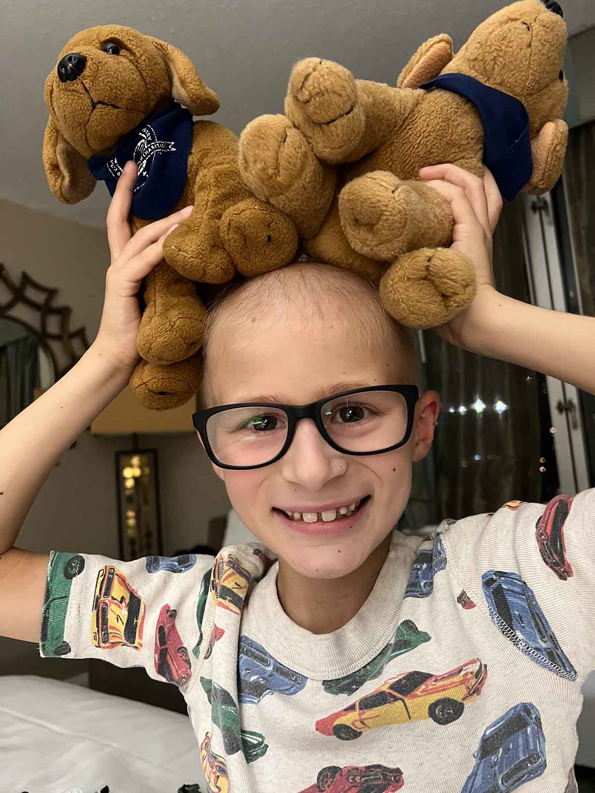 Little boy in pajamas holding two stuffed animal dogs on his head.